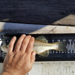 Rules Update: Tournament Measuring Boards