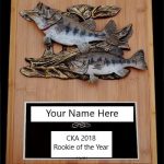 2018 Rookie of the Year Prize Announcement 2018 Rookie of the Year Prize Announcement