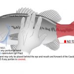 2022 Season Kickoff Notes 2022 Season Kickoff Notes